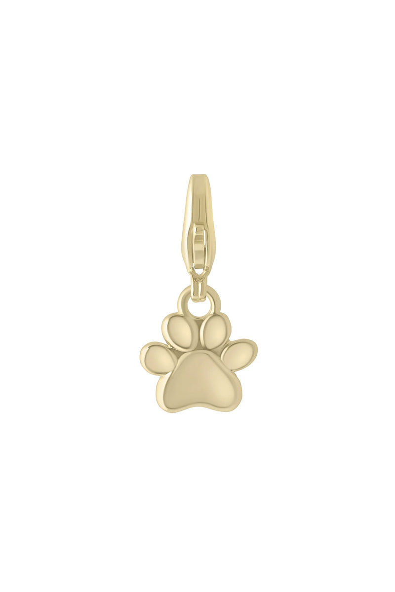 Paw Charm